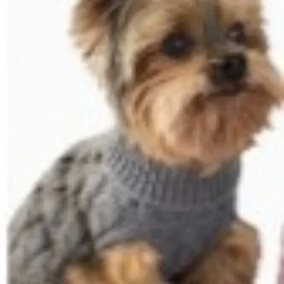Cozy Knit Pet Sweater for Cats & Dogs -Warm Pullover, Gray, Medium Breed Size L - Picture 7 of 8